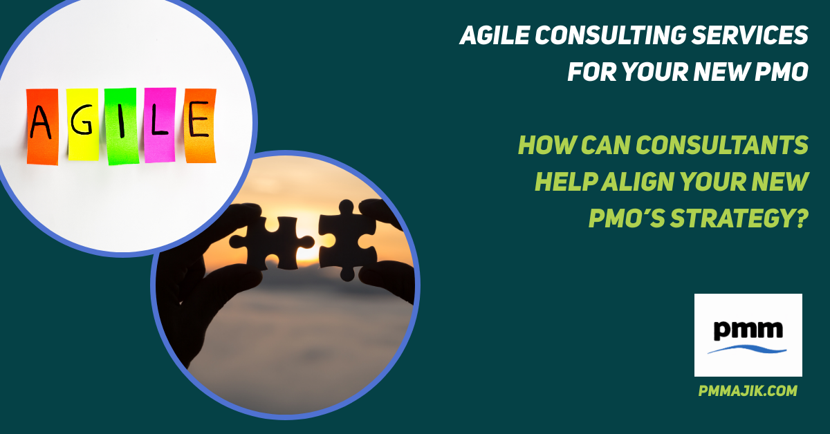 Agile Consulting Services – How Can Consultants Help Align Your New PMO’s Strategy?