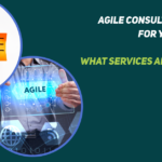 Agile Consulting Services – Using Consultants for Your PMO Setup and Design