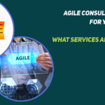 Using Agile Consultants to help design and set up a PMO