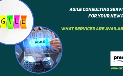 Using Agile Consultants to help design and set up a PMO