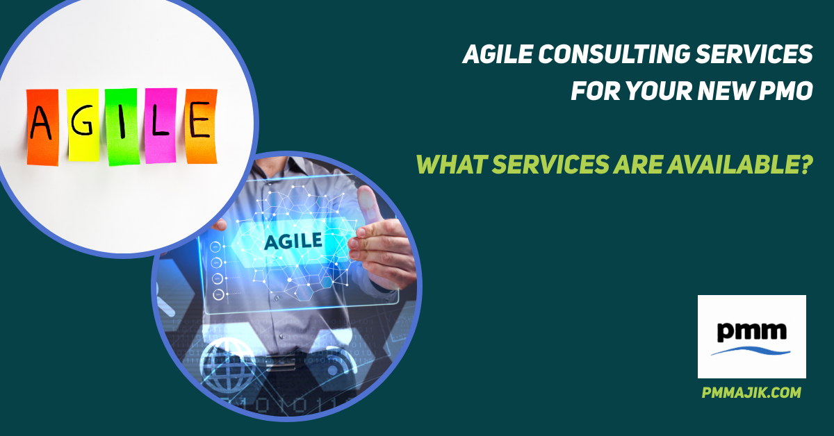 Agile Consulting Services – Using Consultants for Your PMO Setup and Design