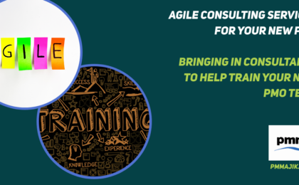 Agile consultants training PMO team members