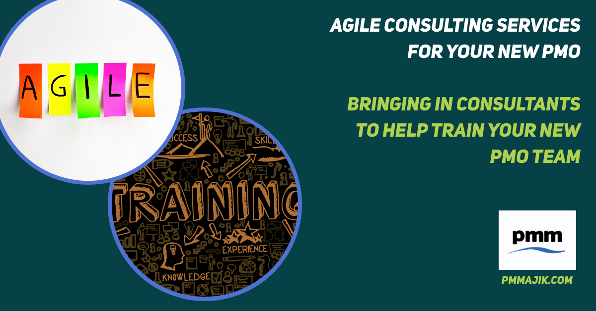 Agile Consulting Services – Bringing in Consultants to Help Train Your New PMO Team