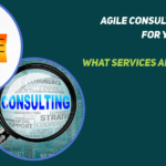 Agile Consulting Services for Your New PMO – What Services Are Available?