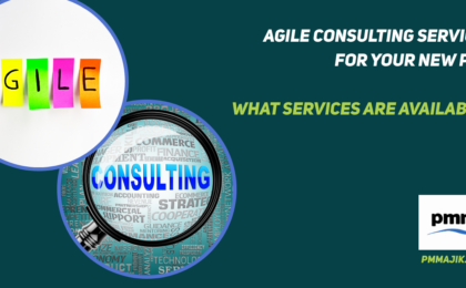 PMO Agile Consulting Services