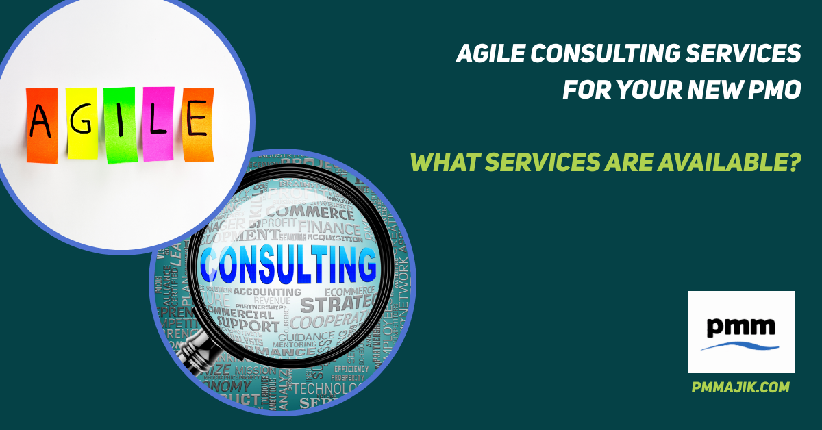 Agile Consulting Services for Your New PMO – What Services Are Available?