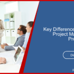 Project Manager V Project Director